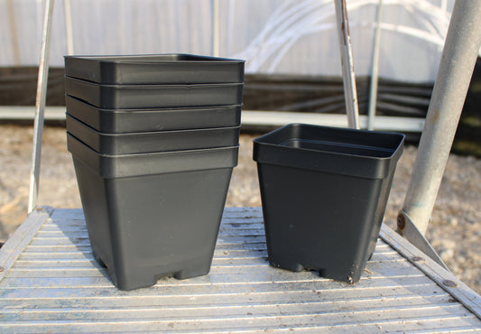 3.5 in Square Black Form Pots